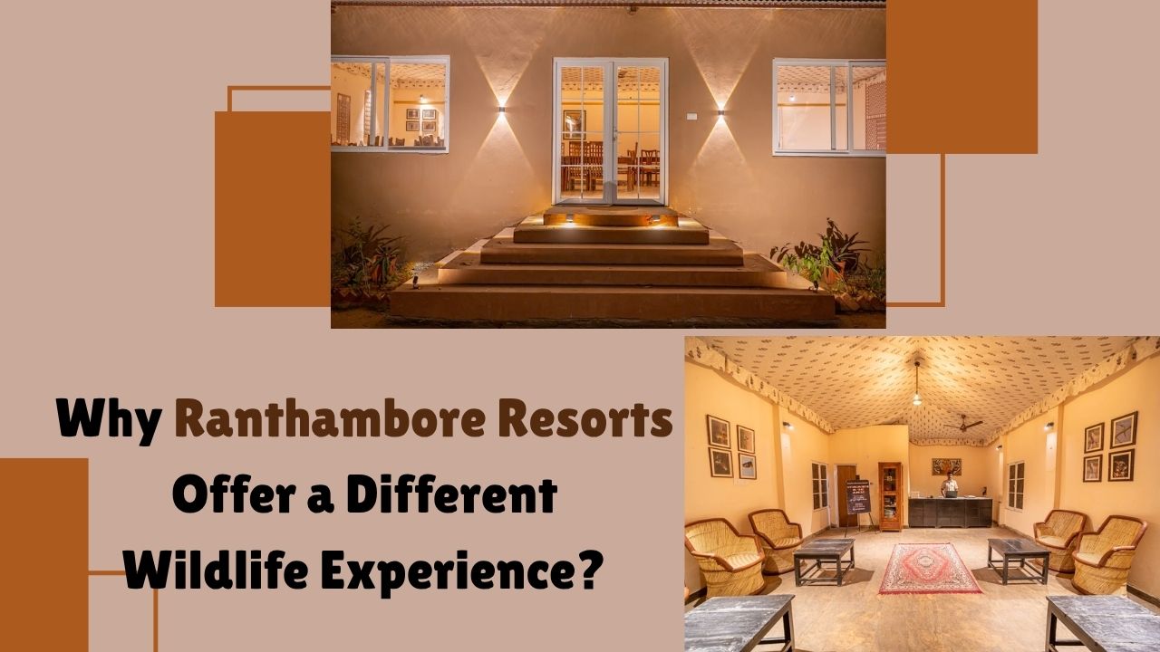 Why Ranthambore Resorts Offer a Different Wildlife Experience